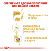 Royal Canin Maltese Adult Корм сухой полнорационный для собак породы Мальтийская болонка от 10 месяцев 2 превью