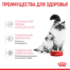 Royal Canin Mother&Babycat Консервы для котят в период первой фазы роста и отъема, 195г 3 превью