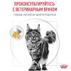 Royal Canin Urinary S/O LP 34 Feline Корм сухой диетический для взрослых кошек при мочекаменной болезни 7 превью