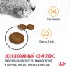 Royal Canin Hair&Skin Care Корм сухой для взрослых кошек для поддержания здоровья кожи и шерсти, 2 кг 5 превью