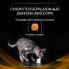 Purina Veterinary Diets NF Корм сухой для кошек, при начальной стадии хронической почечной недостаточности, 350г 4 превью