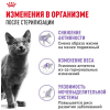 Royal Canin Sterilised 37 Корм сухой сбалансированный для взрослых стерилизованных кошек 1 превью
