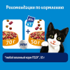 Felix "Двойная вкуснятина" Корм сухой для кошек (мясо), 600г 6 превью