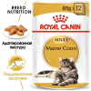 Royal Canin Maine Coon Корм консервированный для кошек породы Мэйн Кун, соус, 85г 1 превью