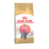 Royal Canin British Shorthair Kitten Корм сухой сбалансированный для британских короткошерстных котят превью