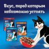 Felix "Двойная вкуснятина" Корм сухой для кошек (мясо), 600г 3 превью