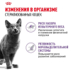 Royal Canin Sterilised Корм консервированный для взрослых кошек в желе, 85 гр 1 превью