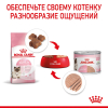 Royal Canin Mother&Babycat Консервы для котят в период первой фазы роста и отъема, 195г 2 превью