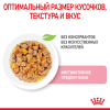 Royal Canin Kitten Sterilised Корм консервированный для стерилизованных котят до 12 месяцев, желе, 85г 4 превью