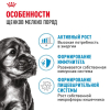 Royal Canin Mini Puppy Корм консервированный для щенков мелких размеров до 10 месяцев, 85г 1 превью