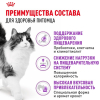 Royal Canin Sensible 33 Корм сухой сбалансированный для взрослых кошек с чувствительной пищеварительной системой 4 превью