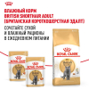 Royal Canin British Shorthair Adult Корм сухой сбалансированный для взрослых британских короткошерстных кошек 5 превью