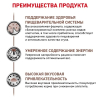 Royal Canin Gastrointestinal Moderate Calorie Корм консервированны для кошек с нарушениями пищеварения при панкреатите, соус, 0,085 кг 2 превью