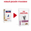 Royal Canin Renal Feline Корм диетический для взрослых кошек с говядиной для поддержания функции почек, соус, 0,085кг 2 превью