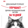 Royal Canin Urinary Care Корм сухой для кошек для поддержания здоровья мочевыделительной системы 3 превью
