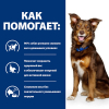 Hill's Prescription Diet Корм сухой диетический для собак, способствует снижению и контролю веса (курица) 3 превью