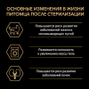 Purina Pro Plan Корм сухой для стерилизованных кошек, для поддержание органов чувств (лосось), 10кг 3 превью