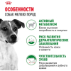 Royal Canin Mini Adult Корм сухой для взрослых собак мелких размеров от 10 месяцев 1 превью