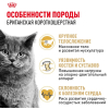 Royal Canin British Shorthair Adult Корм сухой сбалансированный для взрослых британских короткошерстных кошек 1 превью