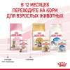Royal Canin Kitten Sterilised Корм консервированный для стерилизованных котят до 12 месяцев, желе, 85г 7 превью