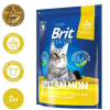 Brit Корм сухой для кошек (лосось в соусе), 2кг превью
