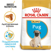 Royal Canin Pug Puppy Корм сухой для щенков породы Мопс в возрасте до 10 месяцев, 1,5 кг 1 превью