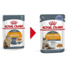 Royal Canin Hair & Skin Care (соус) Корм консервированный для взрослых кошек, соус, 85г превью