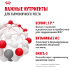 Royal Canin Mini Puppy Корм консервированный для щенков мелких размеров до 10 месяцев, 85г 2 превью