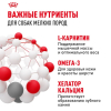 Royal Canin Mini Adult Корм сухой для взрослых собак мелких размеров от 10 месяцев 2 превью