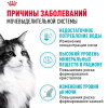Royal Canin Urinary Care Корм сухой для кошек для поддержания здоровья мочевыделительной системы 1 превью
