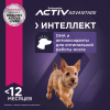 Eukanuba Корм сухой для щенков мелких пород (птица) 2 превью