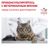 Royal Canin Renal Feline Корм диетический для взрослых кошек с тунцом для поддержания функции почек, соус, 0,085кг 7 превью