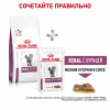 Royal Canin Renal Select Feline Корм сухой диетический для кошек для поддержания функции почек 7 превью