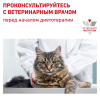 Royal Canin Early Renal Feline Корм консервированный диетический для кошек при ранней стадии почечной недостаточности, соус 85гр 2 превью