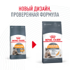 Royal Canin Hair&Skin Care Корм сухой для взрослых кошек для поддержания здоровья кожи и шерсти, 2 кг 2 превью