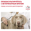 Royal Canin Skintopic сухой корм для собак 3 превью