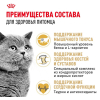 Royal Canin British Shorthair Adult Корм сухой сбалансированный для взрослых британских короткошерстных кошек 4 превью