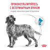 Royal Canin Hypoallergenic DR 21 Canine Корм сухой диетический для взрослых собак при пищевой аллергии, 14 кг 1 превью