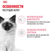 Royal Canin Kitten Gravy Корм консервированный для котят в период второй фазы роста в возрасте до 12 месяцев, кусочки в соусе, 85г 1 превью