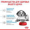 Royal Canin Medium Puppy Корм консервированный для щенков средних размеров до 12 месяцев, 140г 6 превью