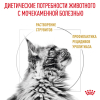 Royal Canin Urinary S/O LP 34 Feline Корм сухой диетический для взрослых кошек при мочекаменной болезни 1 превью