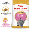 Royal Canin British Shorthair Kitten Корм сухой сбалансированный для британских короткошерстных котят 1 превью