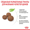 Royal Canin Medium Puppy Корм сухой для щенков средних размеров до 12 месяцев, 14кг 5 превью