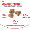 Royal Canin Sensible 33 Корм сухой сбалансированный для взрослых кошек с чувствительной пищеварительной системой 6 превью