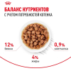 Royal Canin Kitten Gravy Корм консервированный для котят в период второй фазы роста в возрасте до 12 месяцев, кусочки в соусе, 85г 6 превью