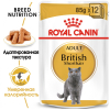 Royal Canin British Shorthair Adult Корм консервированный для взрослых британских короткошерстных кошек,соус, 85г 1 превью