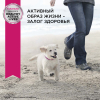 Eukanuba Корм сухой для щенков мелких пород (птица) 7 превью