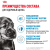 Royal Canin Mini Puppy Корм консервированный для щенков мелких размеров до 10 месяцев, 85г 4 превью