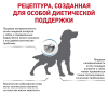 Royal Canin Skintopic сухой корм для собак 2 превью