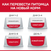 Hill's Science Plan влажный корм для котят (индейка) Для котят с 3 недель до 12 месяцев 6 превью